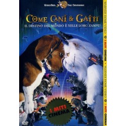 Come cani & gatti (miti)