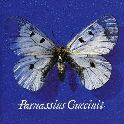 Parnassius Guccinii