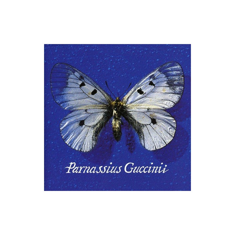 Parnassius Guccinii