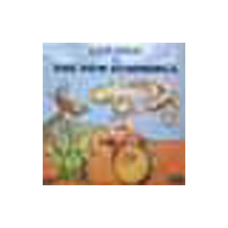 Caravan and the New Symphonia [UK Import] [Import anglais]