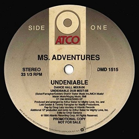 Undeniable (1990, US) / Vinyl Maxi Single [Vinyl 12'']