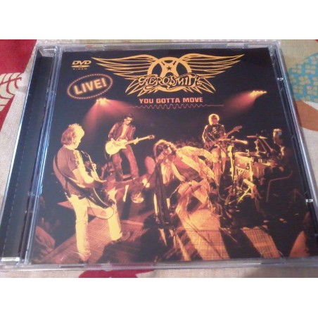 Aerosmith - You Gotta Move