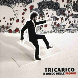 Il Bosco Delle Fragole