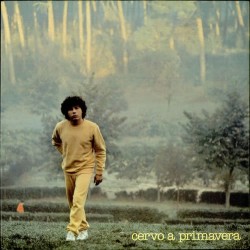 Riccardo Cocciante- Cervo a primavera(1980) vinile