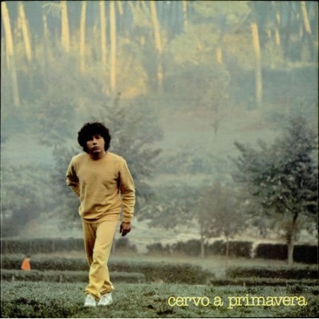 Riccardo Cocciante- Cervo a primavera(1980) vinile