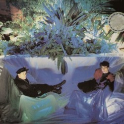 Associates: Sulk - WEA - LP - GER