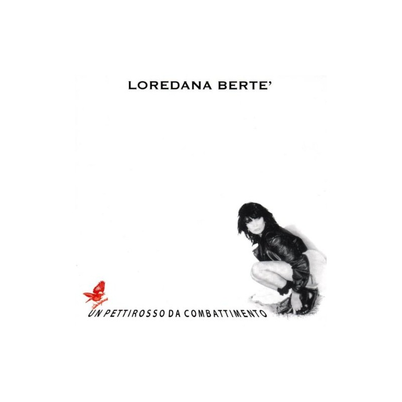 Pettirosso Da Combat