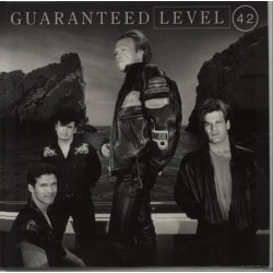 Guaranteed (1991) / Vinyl record [Vinyl-LP]