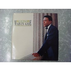 a tribute to marvin gaye