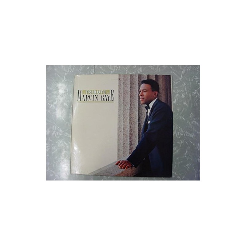 a tribute to marvin gaye