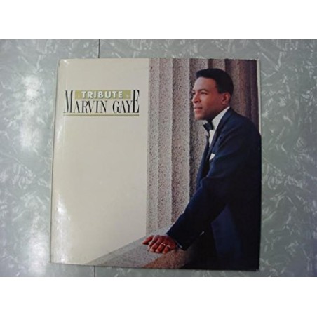 a tribute to marvin gaye