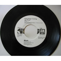 Everything's Coming Up Roses / Ravel In The Rain [Vinyl Single]