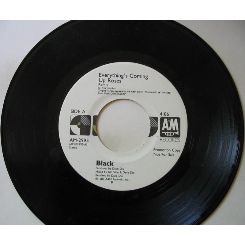 Everything's Coming Up Roses / Ravel In The Rain [Vinyl Single]