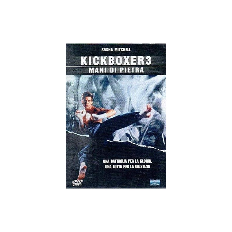 Kickboxer 3