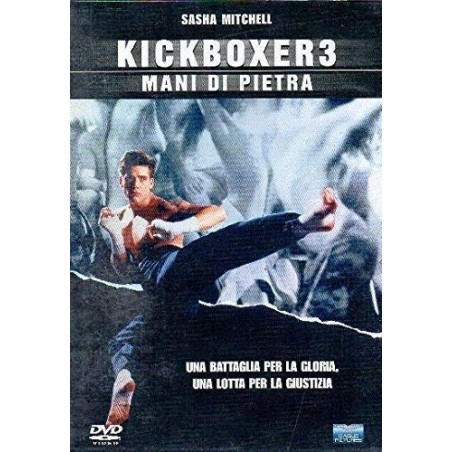 Kickboxer 3