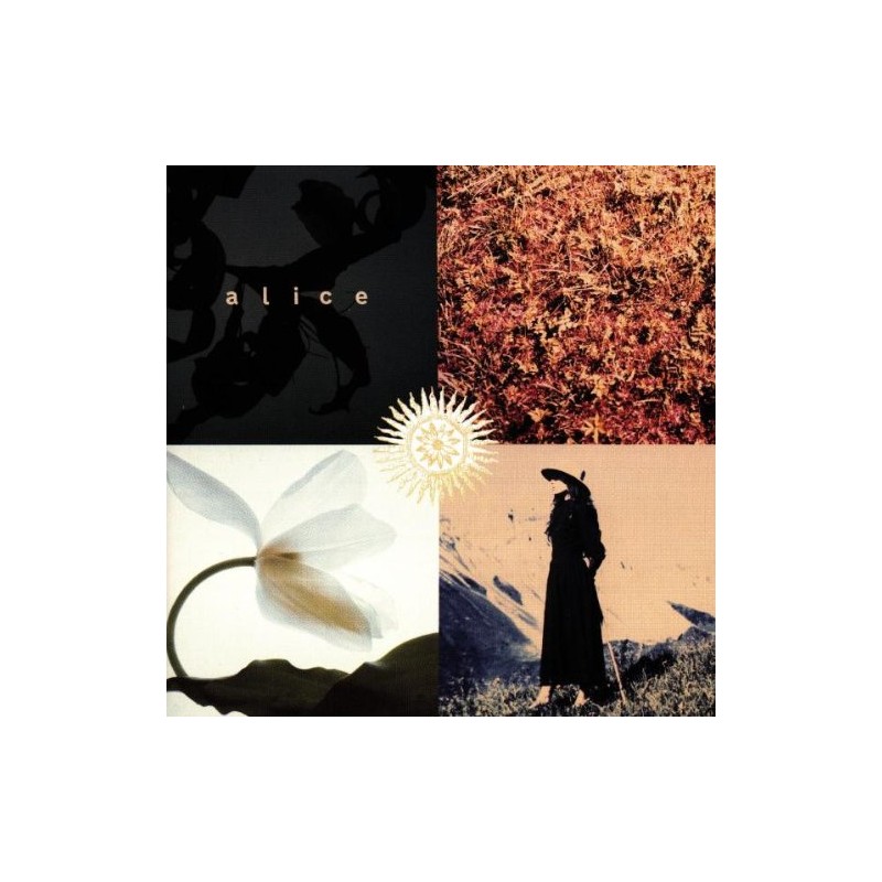 Mezzogiorno Sulle Alpi