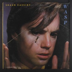 Wasp (1980) / Vinyl record [Vinyl-LP]