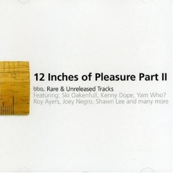 12 Inches Of Pleasure Part Ii