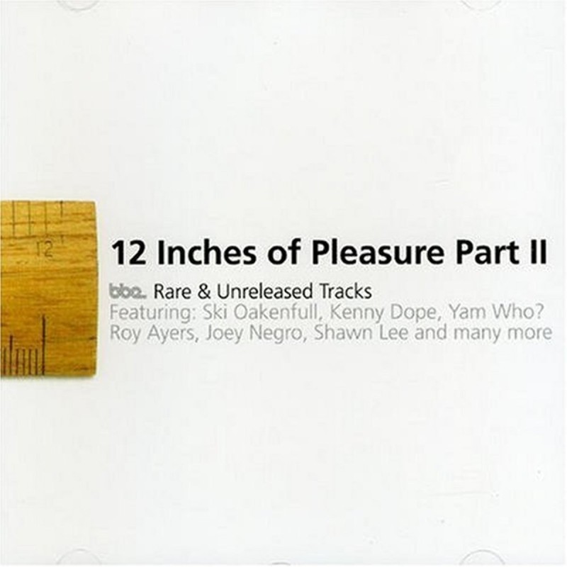 12 Inches Of Pleasure Part Ii