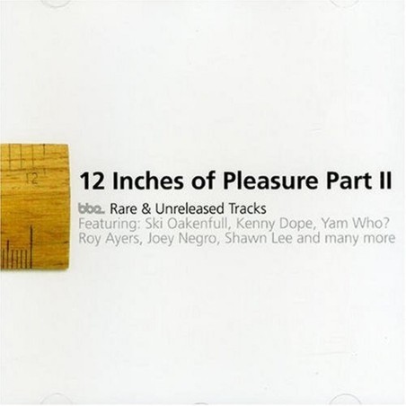 12 Inches Of Pleasure Part Ii