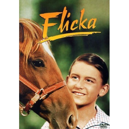 Flicka - Uno spirito libero