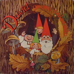 (VINYL LP) David Gnomo Amico Mio