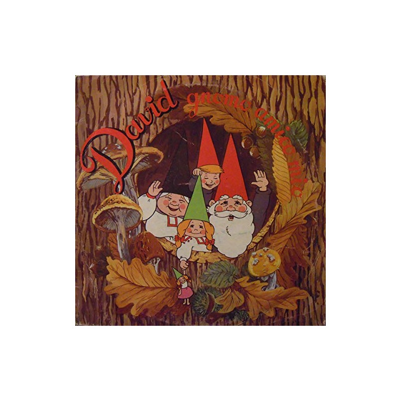 (VINYL LP) David Gnomo Amico Mio