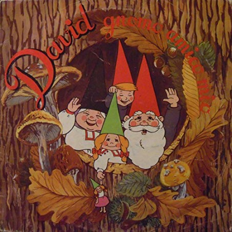 (VINYL LP) David Gnomo Amico Mio