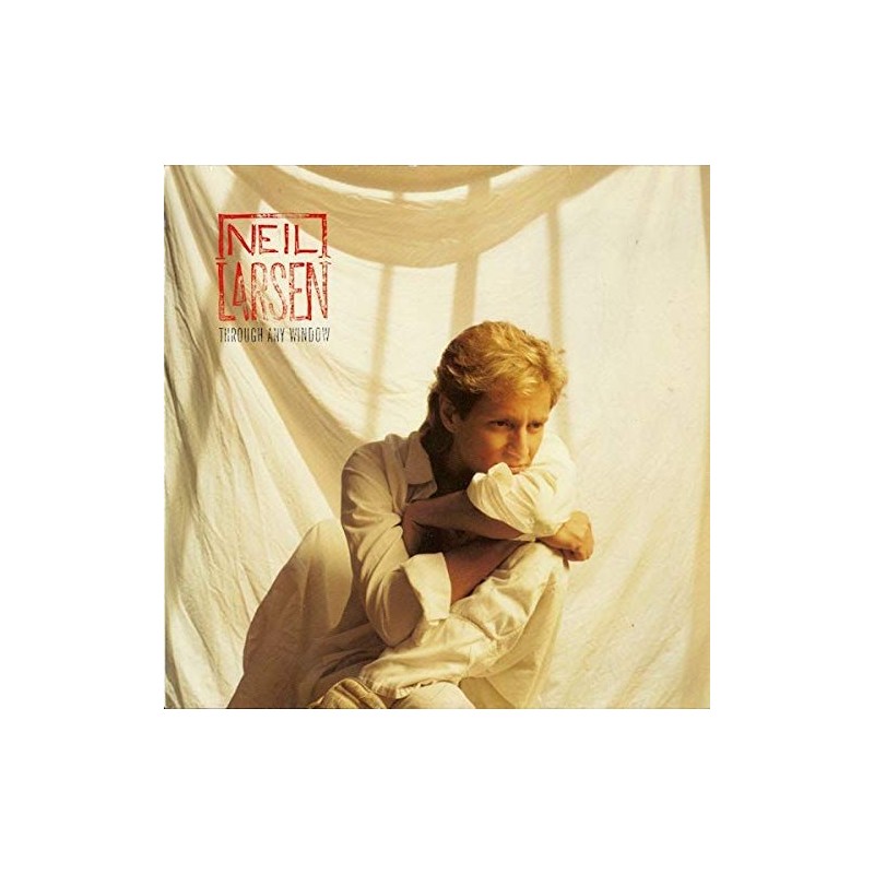 Through any window (1987) / Vinyl record [Vinyl-LP]