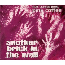 CDS Another Brick In The Wall