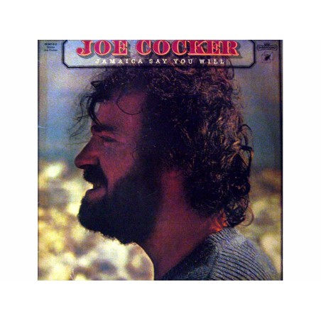 Jamaica Say You Will