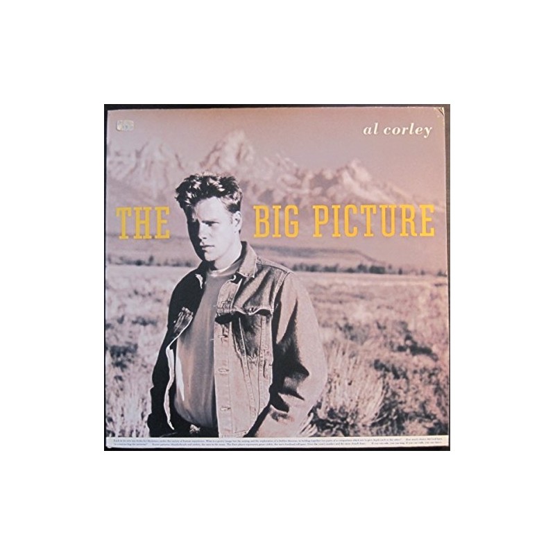 Big picture (1988) / Vinyl record [Vinyl-LP]
