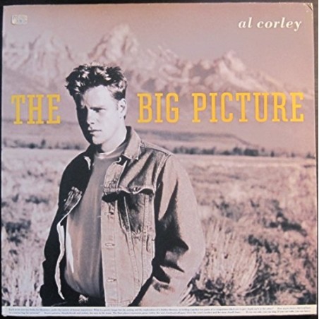 Big picture (1988) / Vinyl record [Vinyl-LP]