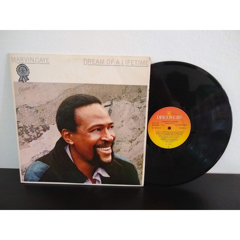Marvin Gaye: Dream Of A Lifetime