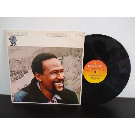 Marvin Gaye: Dream Of A Lifetime