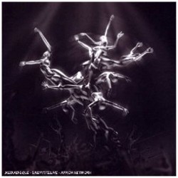 The Silver Tree (CD+DVD)