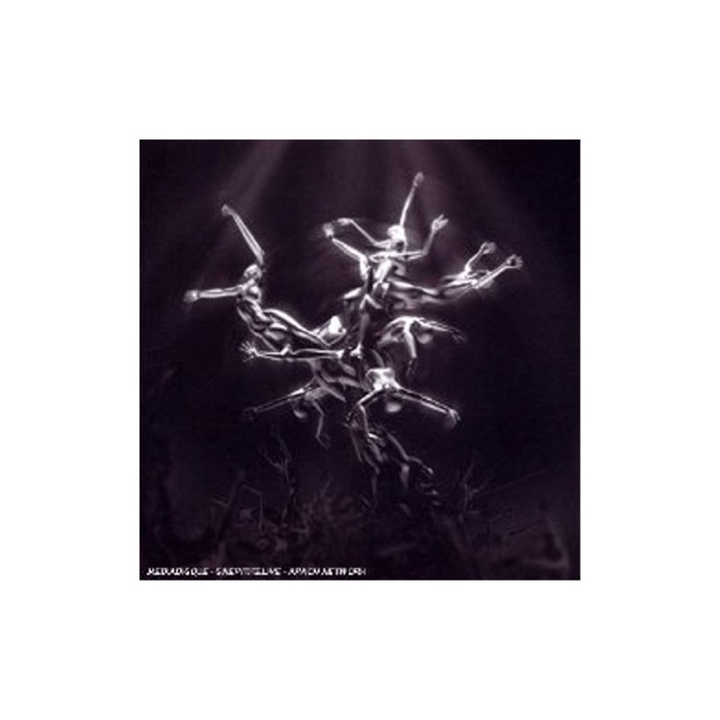 The Silver Tree (CD+DVD)