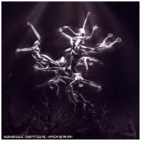 The Silver Tree (CD+DVD)