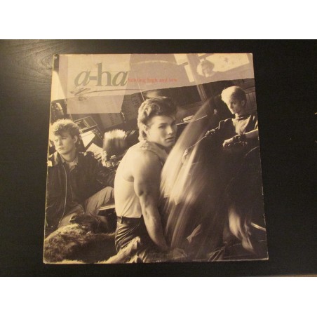 Hunting high and low (1985) / Vinyl record [Vinyl-LP]