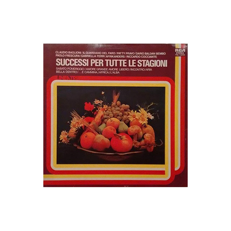 SUCCESSI PER TUTTE LE STAGIONI - LP