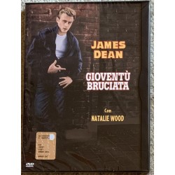 italian,arabic,french,english,romanian,dutch,portuguese