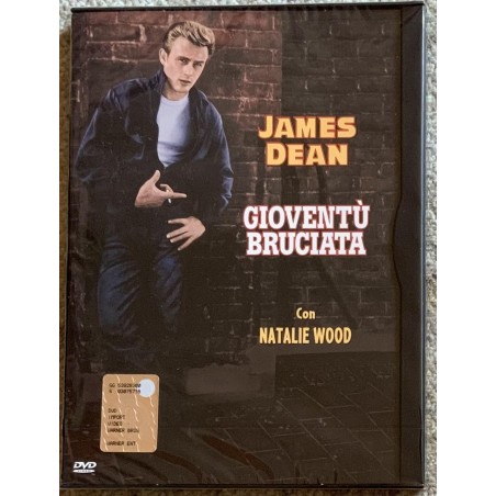 italian,arabic,french,english,romanian,dutch,portuguese