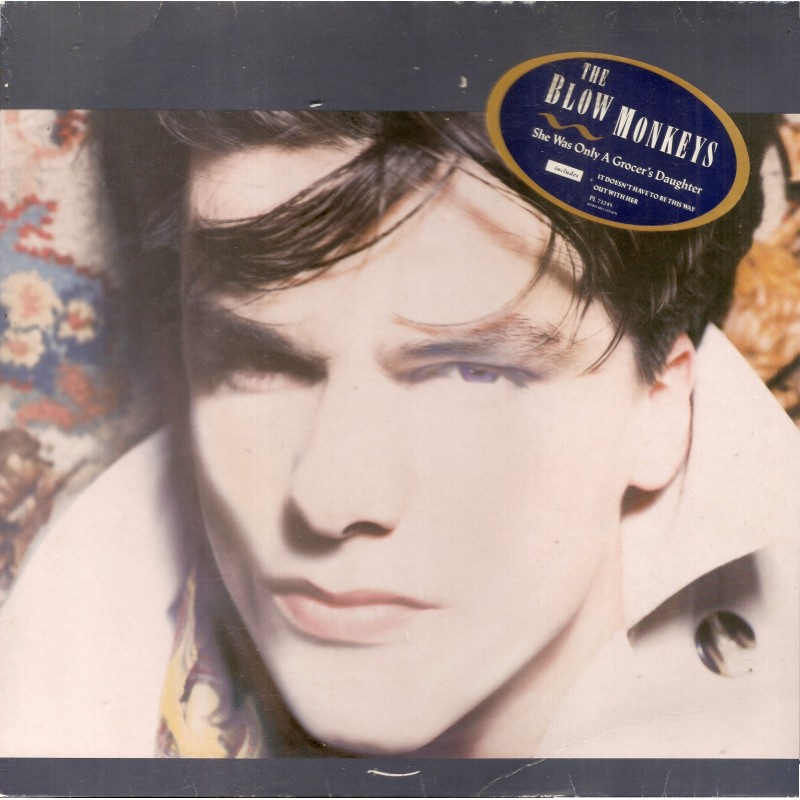 SHE WAS ONLY A GROCER'S DAUGHTER LP (VINYL ALBUM) GERMAN RCA 1987