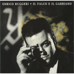 Il Falco E Il Gabbiano