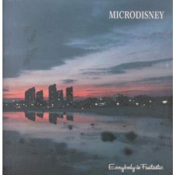 EVERYBODY IS FANTASTIC LP (VINYL) UK ROUGH TRADE 1984