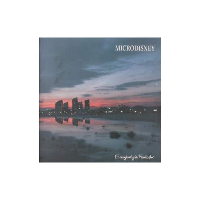 EVERYBODY IS FANTASTIC LP (VINYL) UK ROUGH TRADE 1984