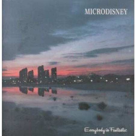 EVERYBODY IS FANTASTIC LP (VINYL) UK ROUGH TRADE 1984