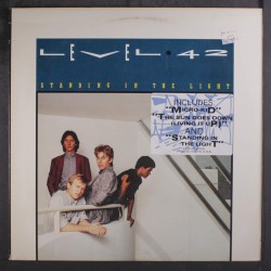 standing in the light