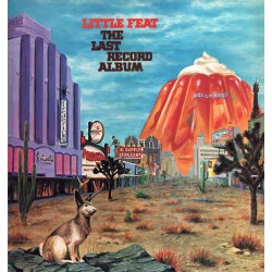 The Last Record Album