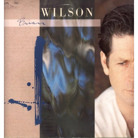 brian wilson LP